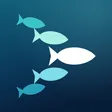 Shoal app icon